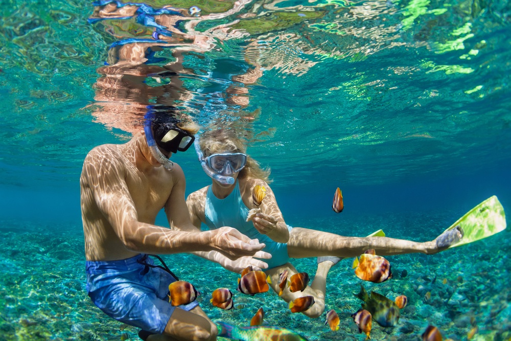 Playa y Snorkel