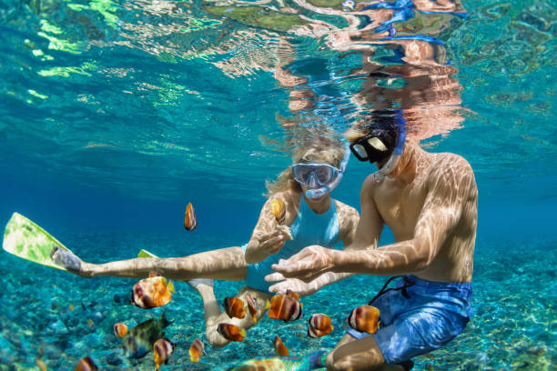 cosas que no se te pueden olvidar: Equipo de Snorkel